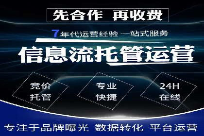 SEO与SEM融合策略：成功案例解析